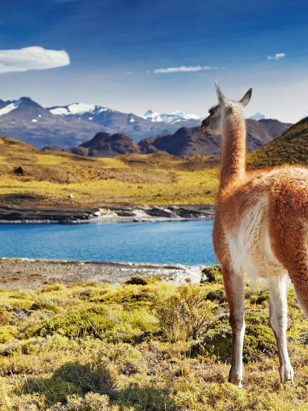 Chile 2 World Travel Reps, South America Destinations, Chile