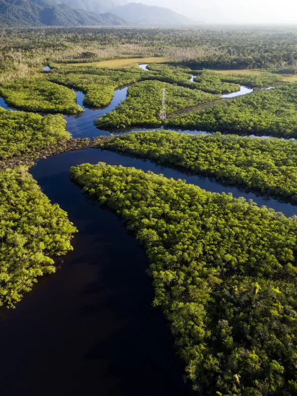 World Travel Reps, South America Destinations, Brazil