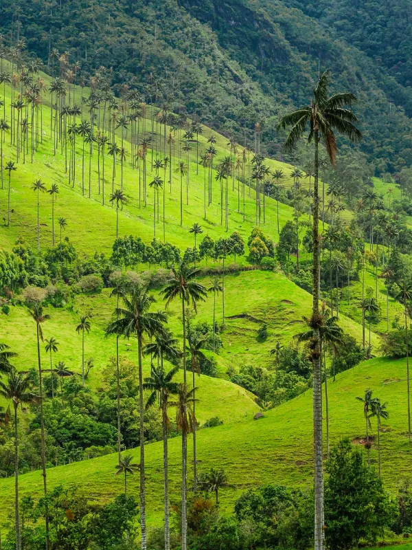 Colombia 6 World Travel Reps, South America Destinations, Colombia destinations