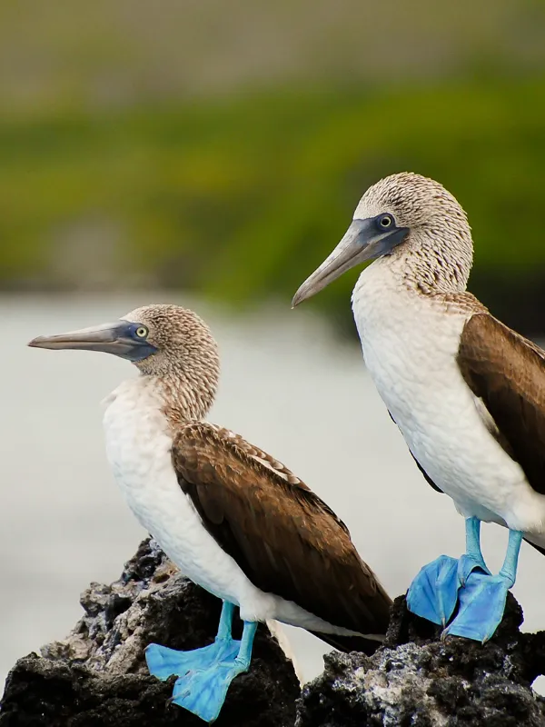 World Travel Reps, South America Destinations, Ecuador destination