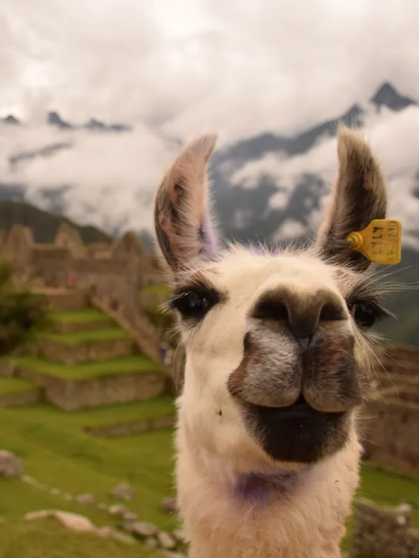 World Travel Reps, South America Destinations, Peru destinations